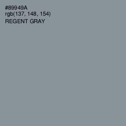 #89949A - Regent Gray Color Image